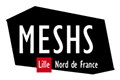 logo meshs